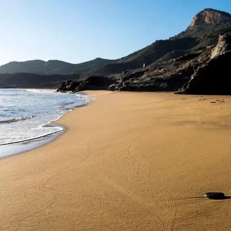 Delfines 라망가델마르메노