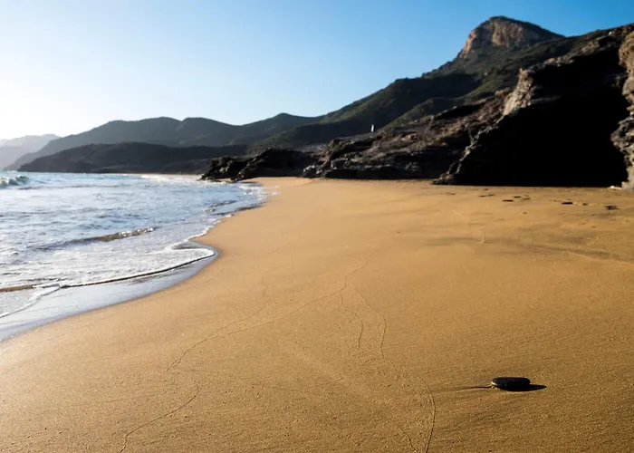 Delfines La Manga del Mar Menor