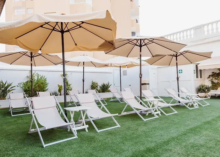 Delfines La Manga del Mar Menor